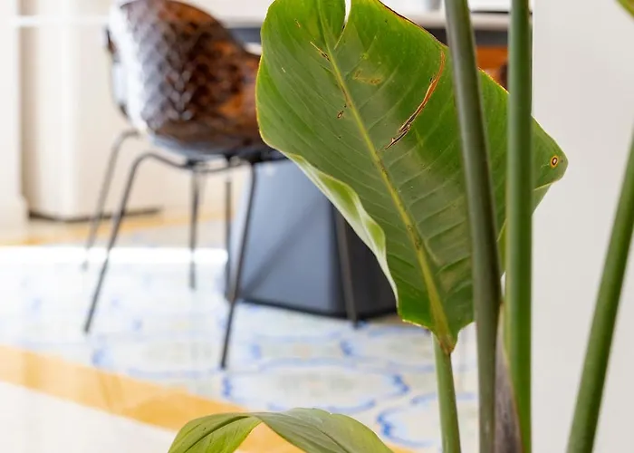 La Perle 奥斯图尼